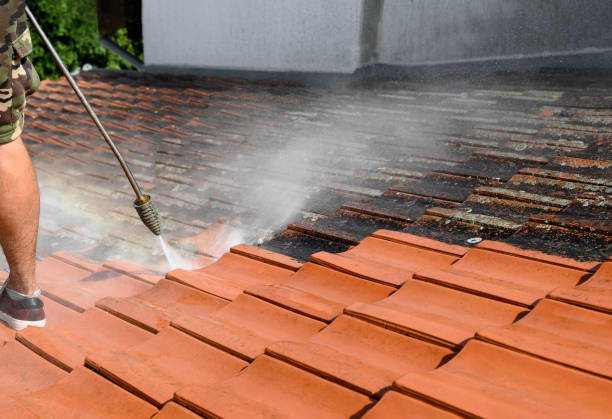 Best Pressure Washing Patio  in New Lisbon, WI