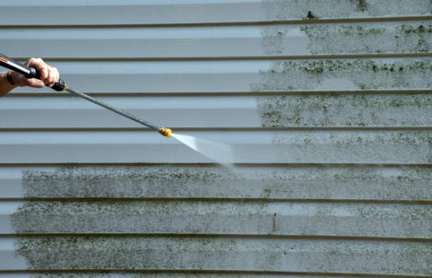 Best Fence Pressure Washing  in New Lisbon, WI