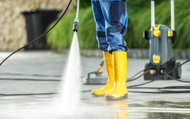 Best Exterior Home Cleaning  in New Lisbon, WI