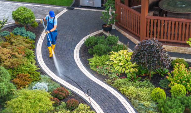 Best Affordable Pressure Washing  in New Lisbon, WI